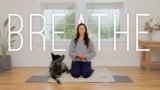 10 Minute Balancing Breathwork | Yoga With Adriene