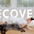 Finding the Balance Between More and Less with Ulcerative Colitis
